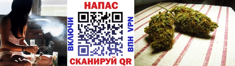 Бошки Шишки марихуана  купить  цена  мориарти телеграм  Новоузенск  omg сайт 